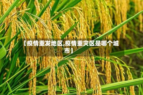 【疫情重发地区,疫情重灾区是哪个城市】