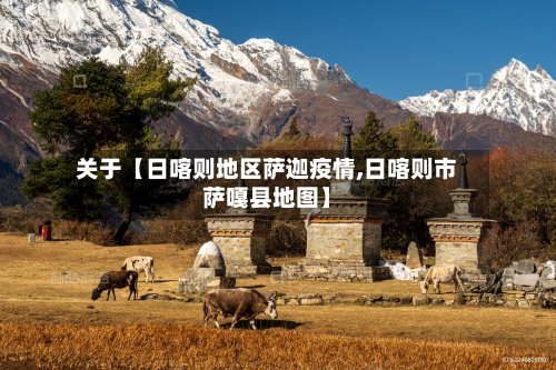 关于【日喀则地区萨迦疫情,日喀则市萨嘎县地图】-第3张图片