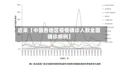 近来【中国各地区疫情确诊人数全国确诊病例】-第3张图片