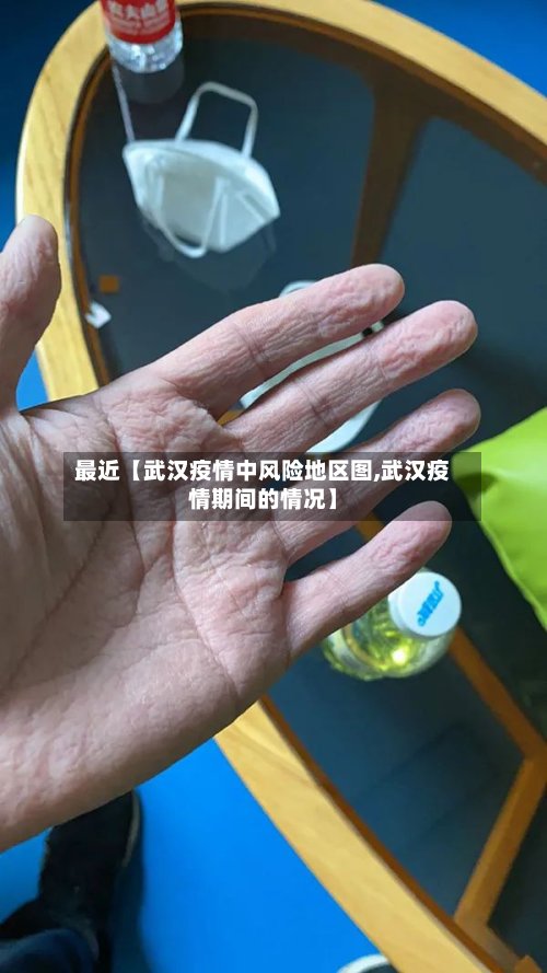最近【武汉疫情中风险地区图,武汉疫情期间的情况】-第2张图片