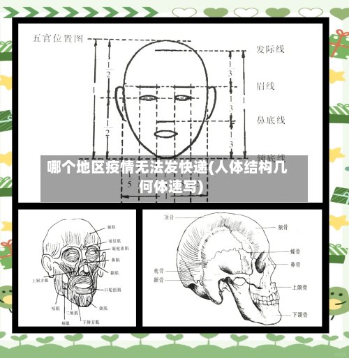 哪个地区疫情无法发快递(人体结构几何体速写)-第2张图片