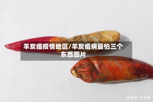 羊炭疽疫情地区/羊炭疽病最怕三个东西图片-第2张图片