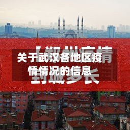 关于武汉各地区疫情情况的信息-第2张图片