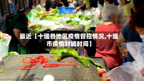 最近【十堰各地区疫情管控情况,十堰市疫情封城时间】-第2张图片