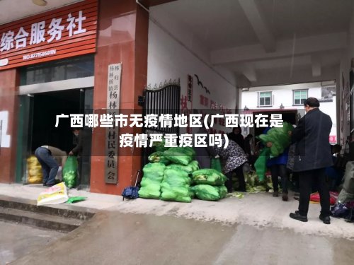 广西哪些市无疫情地区(广西现在是疫情严重疫区吗)-第2张图片