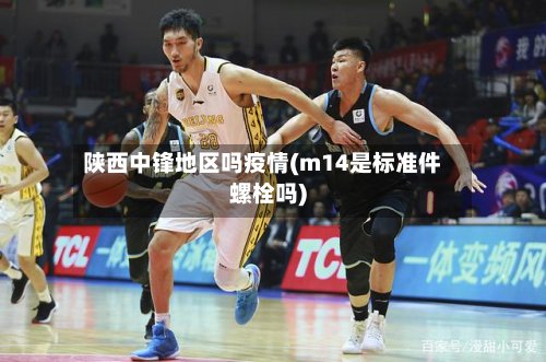 陕西中锋地区吗疫情(m14是标准件螺栓吗)