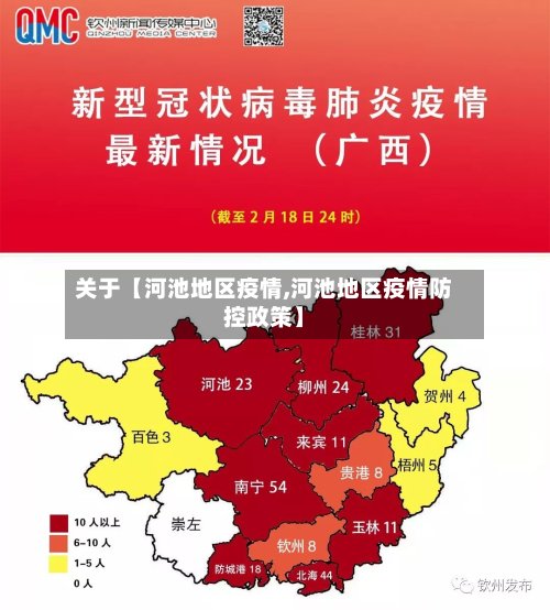 关于【河池地区疫情,河池地区疫情防控政策】-第2张图片