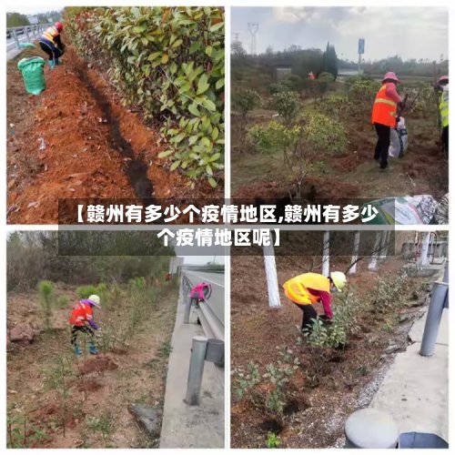 【赣州有多少个疫情地区,赣州有多少个疫情地区呢】
