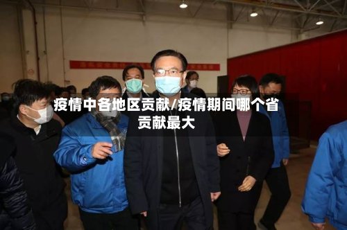 疫情中各地区贡献/疫情期间哪个省贡献最大