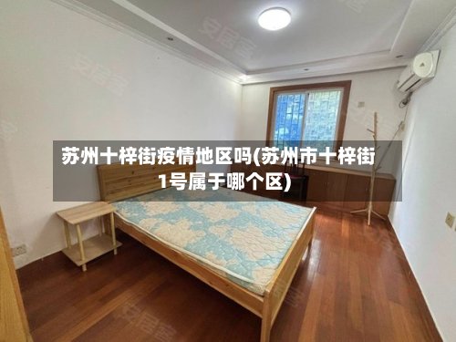苏州十梓街疫情地区吗(苏州市十梓街1号属于哪个区)