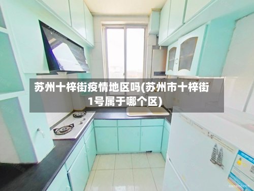 苏州十梓街疫情地区吗(苏州市十梓街1号属于哪个区)-第2张图片