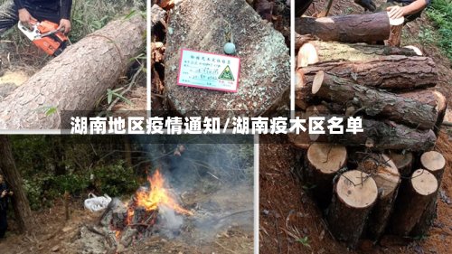 湖南地区疫情通知/湖南疫木区名单-第2张图片