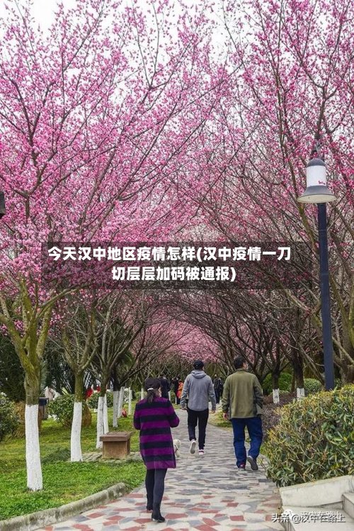 今天汉中地区疫情怎样(汉中疫情一刀切层层加码被通报)