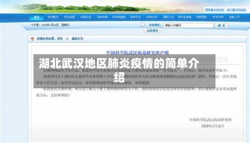 湖北武汉地区肺炎疫情的简单介绍-第2张图片