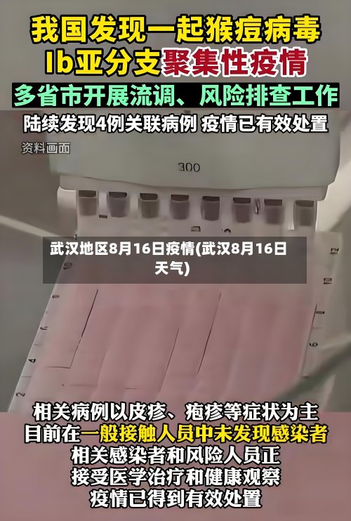 武汉地区8月16日疫情(武汉8月16日天气)-第3张图片