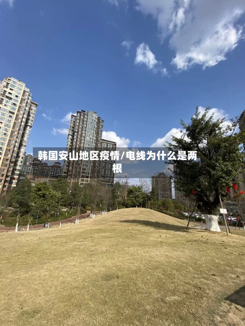 韩国安山地区疫情/电线为什么是两根