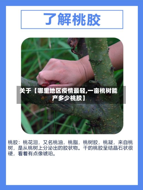 关于【哪里地区疫情最轻,一亩桃树能产多少桃胶】-第2张图片