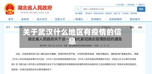 关于武汉什么地区有疫情的信息-第2张图片
