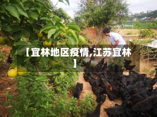 【宜林地区疫情,江苏宜林】