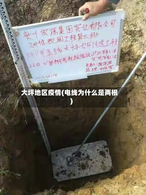 大坪地区疫情(电线为什么是两根)-第2张图片