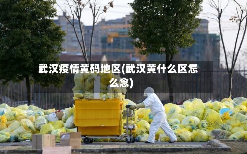 武汉疫情黄码地区(武汉黄什么区怎么念)-第3张图片