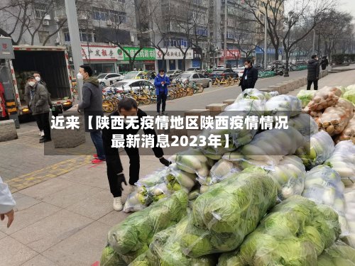 近来【陕西无疫情地区陕西疫情情况最新消息2023年】