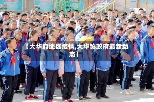 【大华府地区疫情,大华镇政府最新动态】-第3张图片