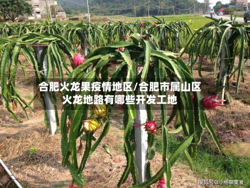 合肥火龙果疫情地区/合肥市属山区火龙地路有哪些开发工地