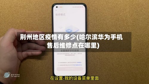 荆州地区疫情有多少(哈尔滨华为手机售后维修点在哪里)-第2张图片