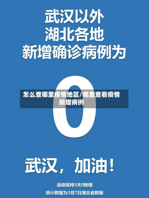怎么查哪里疫情地区/哪里查看疫情新增病例-第2张图片