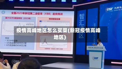 疫情高峰地区怎么买菜(新冠疫情高峰地区)-第2张图片