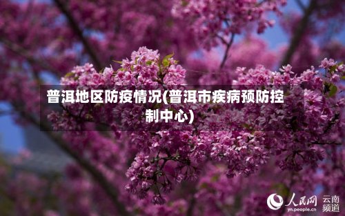 普洱地区防疫情况(普洱市疾病预防控制中心)-第2张图片