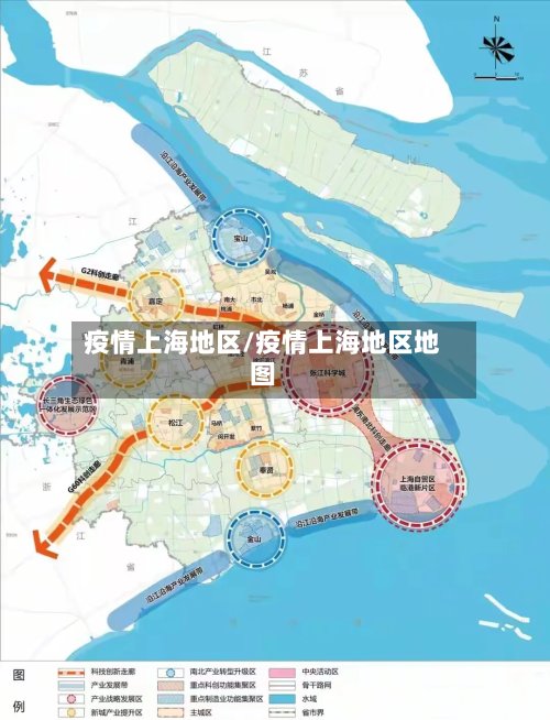 疫情上海地区/疫情上海地区地图-第2张图片