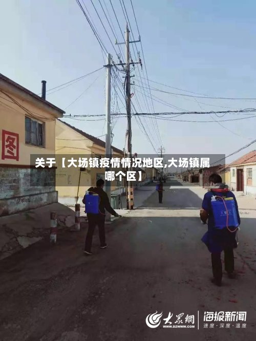 关于【大场镇疫情情况地区,大场镇属哪个区】-第2张图片