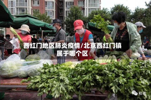 西红门地区肺炎疫情/北京西红门镇属于哪个区-第2张图片