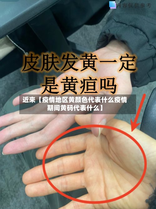 近来【疫情地区黄颜色代表什么疫情期间黄码代表什么】-第2张图片