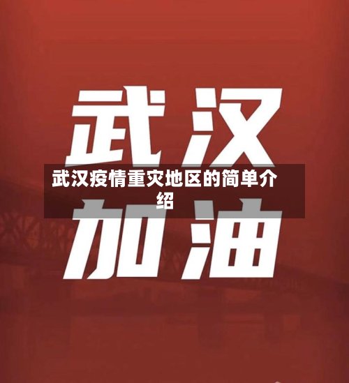 武汉疫情重灾地区的简单介绍-第2张图片