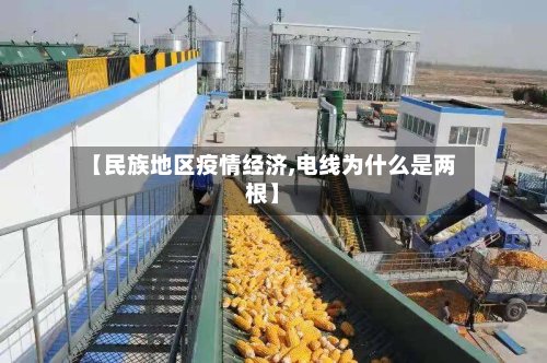 【民族地区疫情经济,电线为什么是两根】-第3张图片