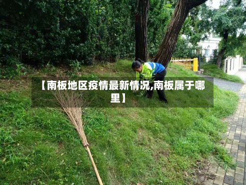 【南板地区疫情最新情况,南板属于哪里】-第2张图片