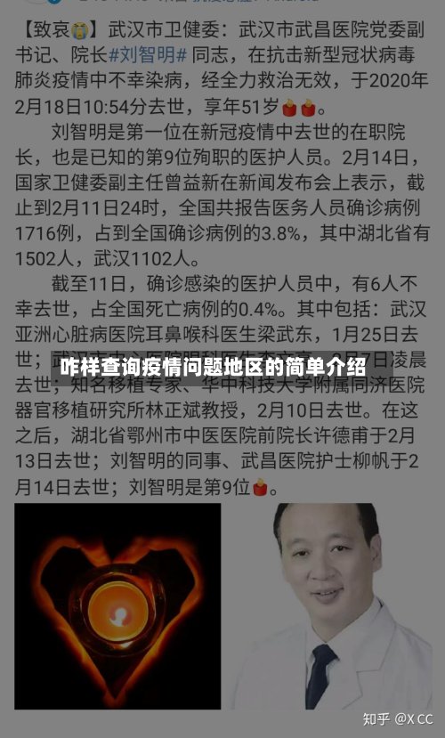 咋样查询疫情问题地区的简单介绍-第2张图片