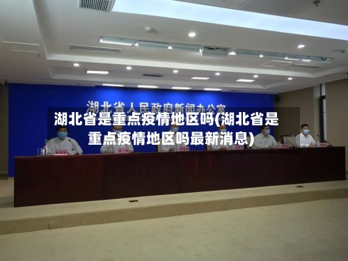 湖北省是重点疫情地区吗(湖北省是重点疫情地区吗最新消息)-第3张图片