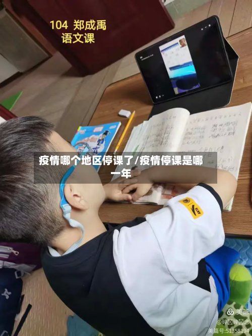 疫情哪个地区停课了/疫情停课是哪一年