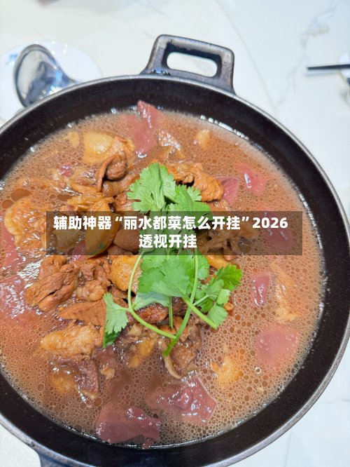 辅助神器“丽水都菜怎么开挂”2026透视开挂-第2张图片