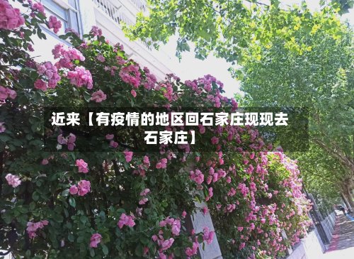 近来【有疫情的地区回石家庄现现去石家庄】-第3张图片