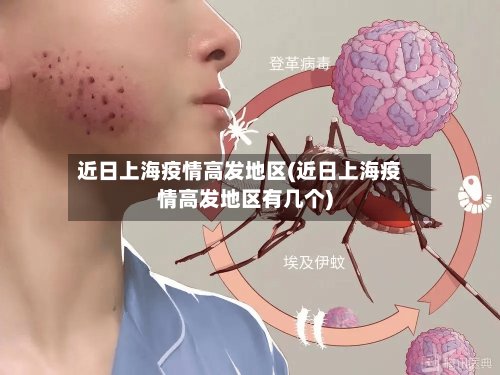 近日上海疫情高发地区(近日上海疫情高发地区有几个)-第2张图片