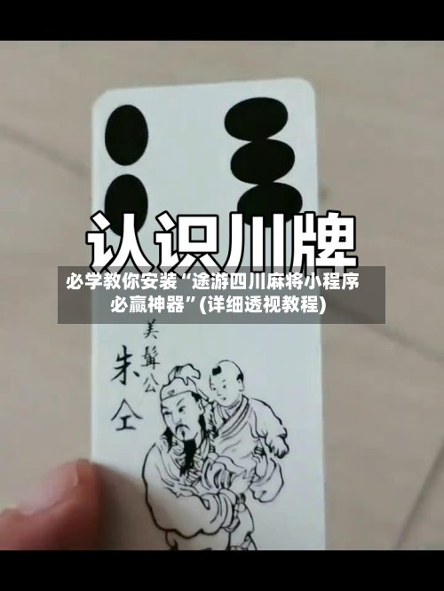 必学教你安装“途游四川麻将小程序必赢神器	”(详细透视教程)-第2张图片