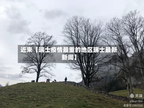 近来【瑞士疫情最重的地区瑞士最新新闻】-第3张图片