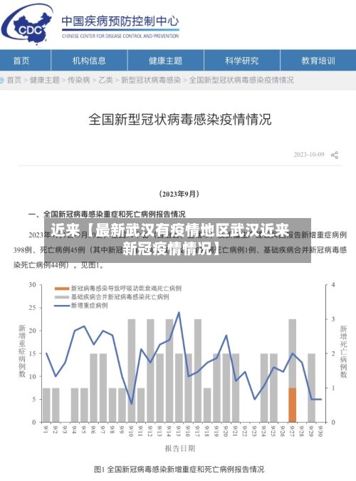 近来【最新武汉有疫情地区武汉近来新冠疫情情况】-第2张图片