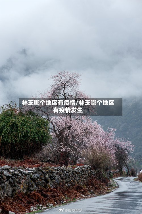 林芝哪个地区有疫情/林芝哪个地区有疫情发生
