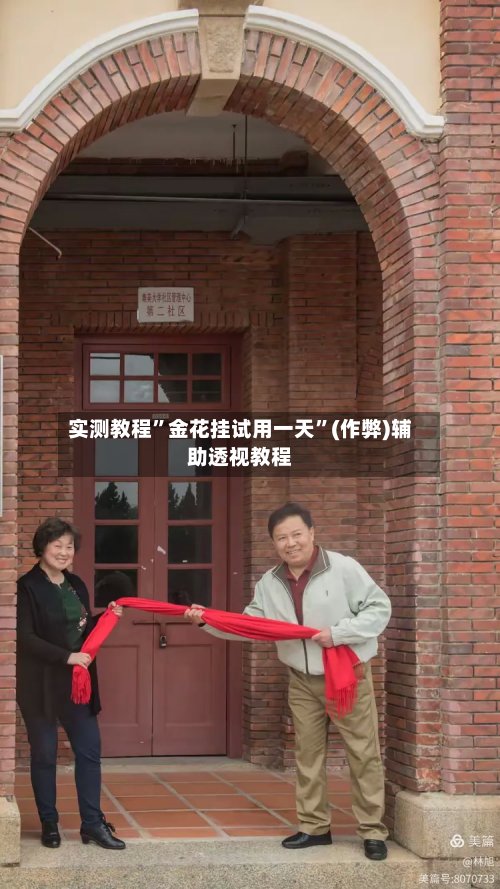 实测教程”金花挂试用一天”(作弊)辅助透视教程-第3张图片